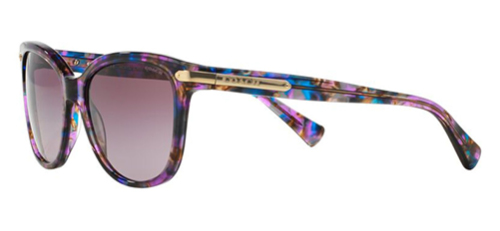 Coach HC8132 sunglasses