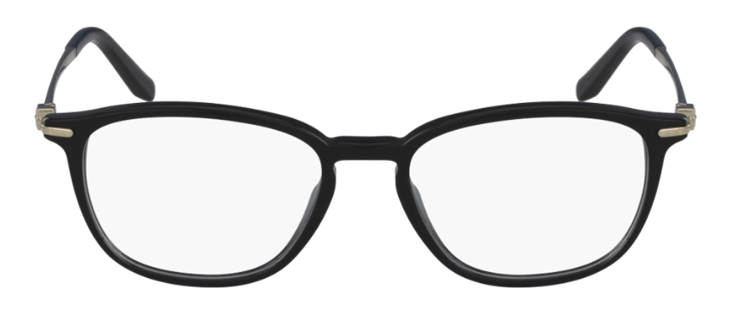 Salvatore Ferragamo SF2816 glasses