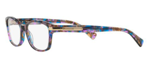 Coach HC6065 glasses