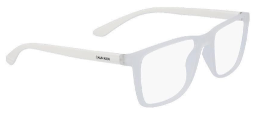 CALVIN KLEIN CK19573 glasses