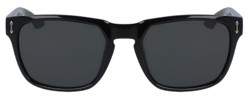 Dragon DR MONARCH XL POLAR sunglasses