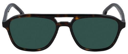 PSSN012V1S ALDER V1S sunglasses